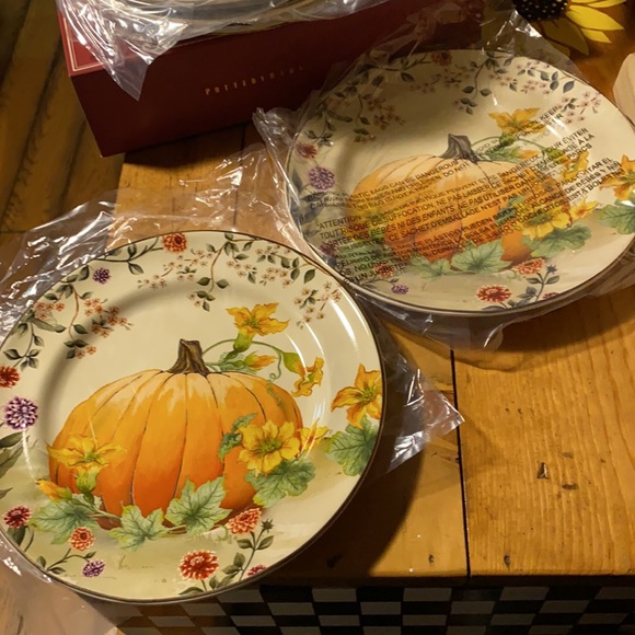 Pottery Barn Botanical Harvest Pumpkin Stoneware Set of Four Salad plates - Picture 9 of 16